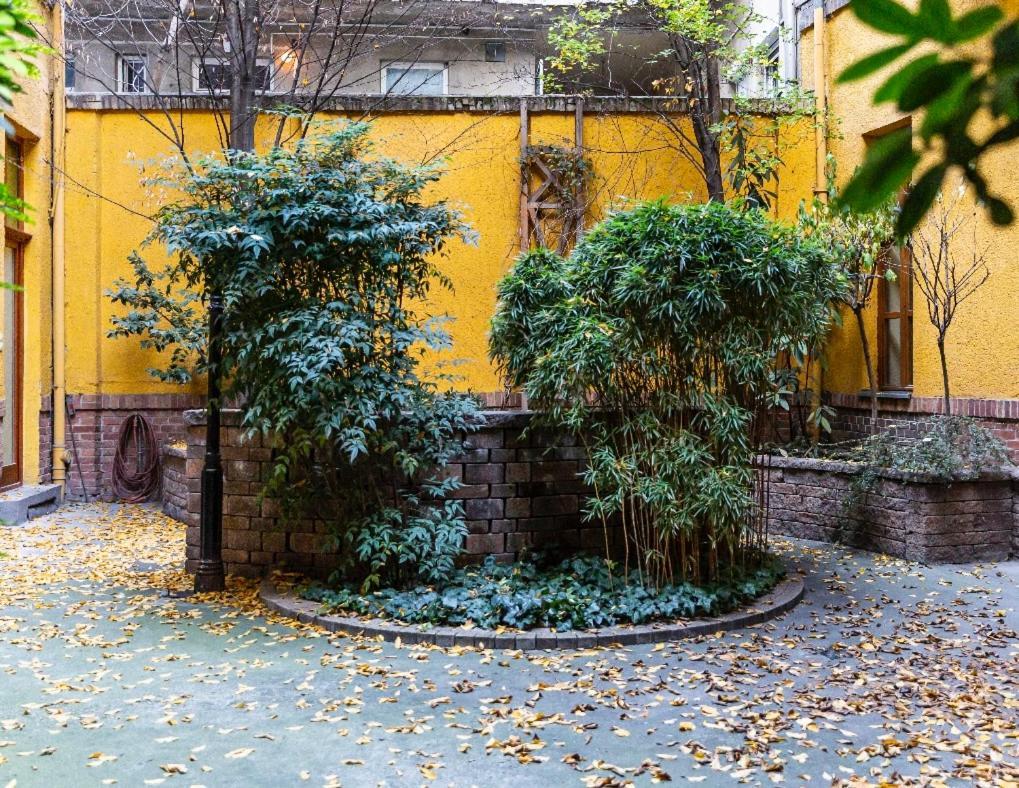 Apartment Hidden Gem In Buda *